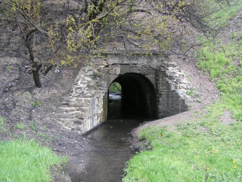 Кринична з panoramio.com - Криничная