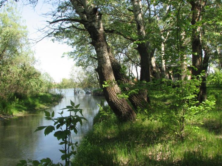 Яськи з panoramio.com - Jasky