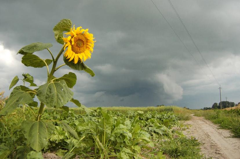 Мовники з panoramio.com - Мовники