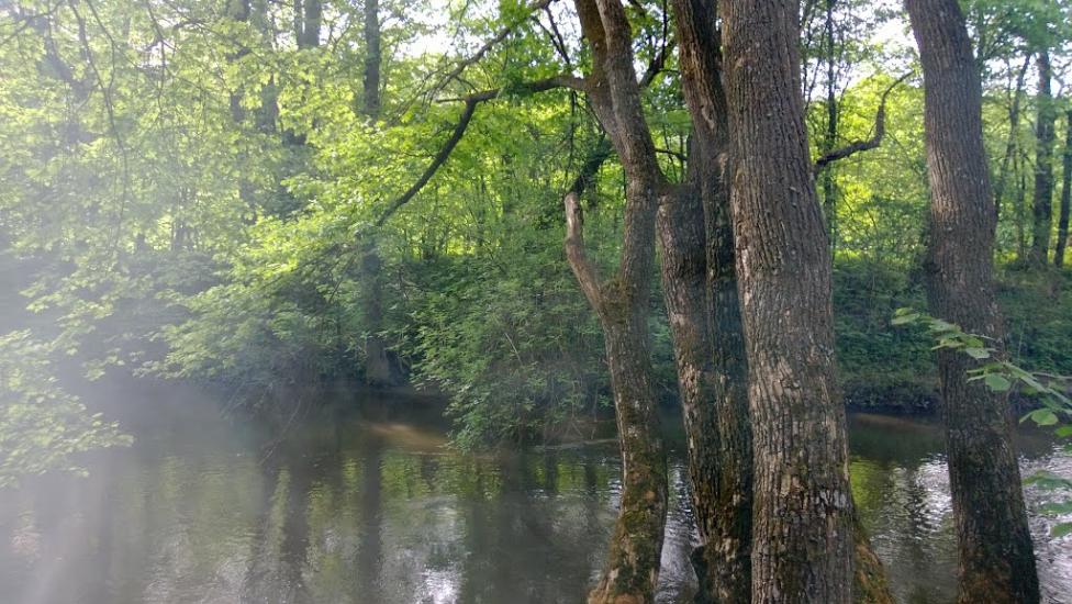 Іванківці з panoramio.com - Иванковцы