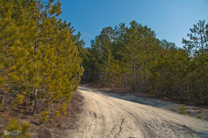 Прохладне з panoramio.com - Прохладное
