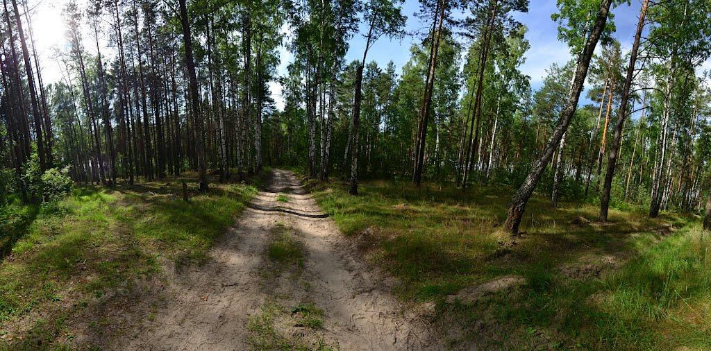 Тополівка з panoramio.com - Тополівка