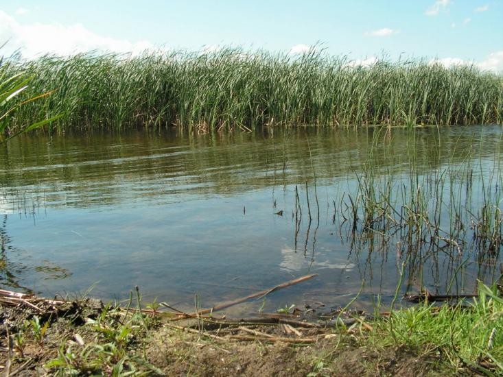 Шацьк з panoramio.com - Шацк