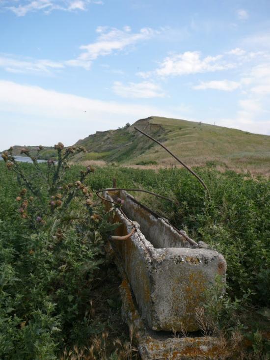 Пшонянове з panoramio.com - Пшонянове