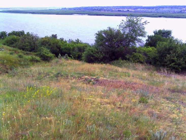 Гур'ївка з panoramio.com - Гурьевка
