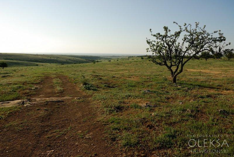 Вікторівка з panoramio.com - Викторовка