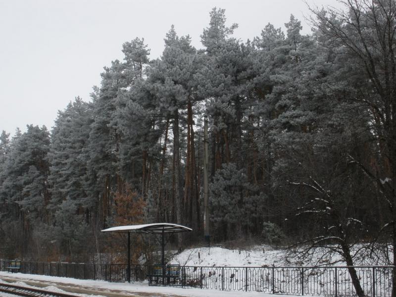 Кам'янка з panoramio.com - Kamyanka