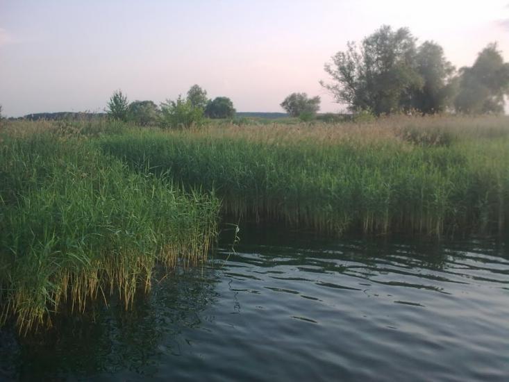 Піски-Радьківські з panoramio.com - Pisky-Radkivski