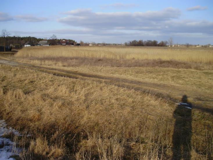 Котовка з panoramio.com - Котовка