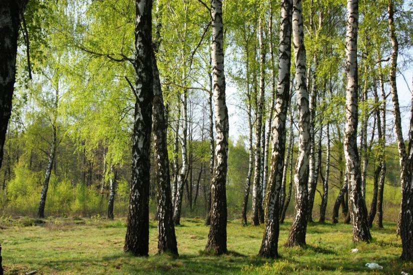 Суховоля з panoramio.com - Sukhovolya
