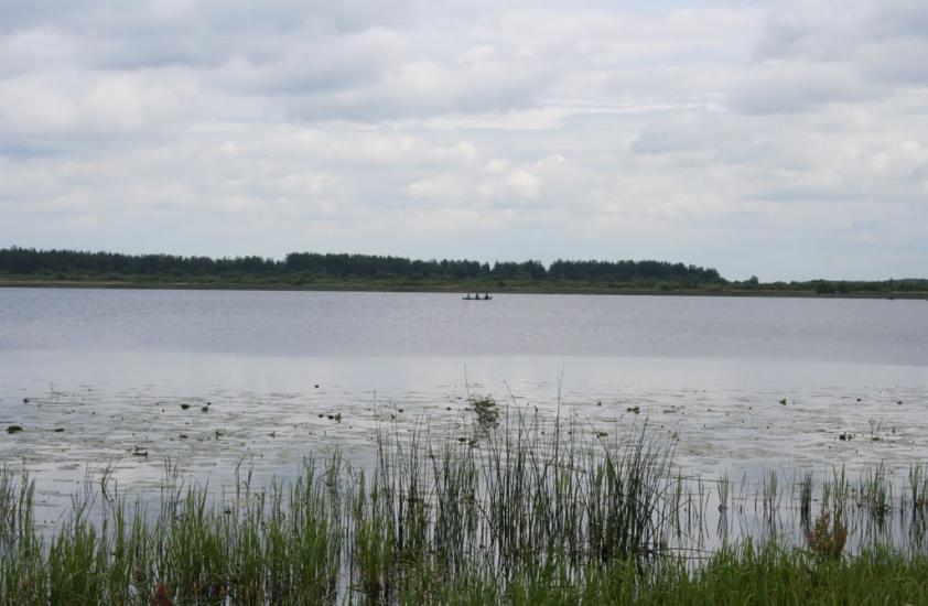 Хабарище з panoramio.com - Хабарище