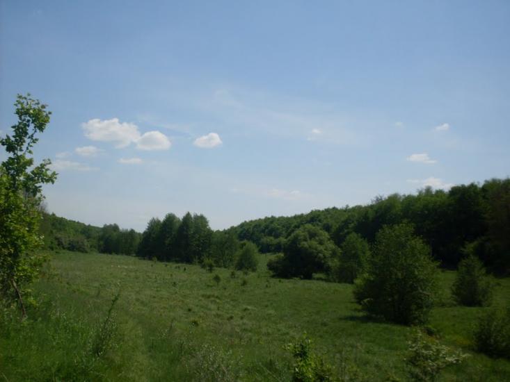 Млинки з panoramio.com - Млынки