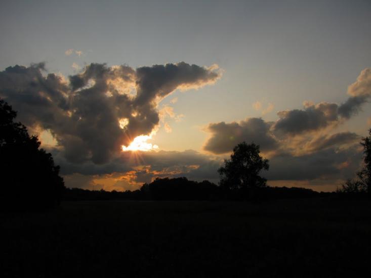 Усть-Лип'янка з panoramio.com - Ust-Lypyanka