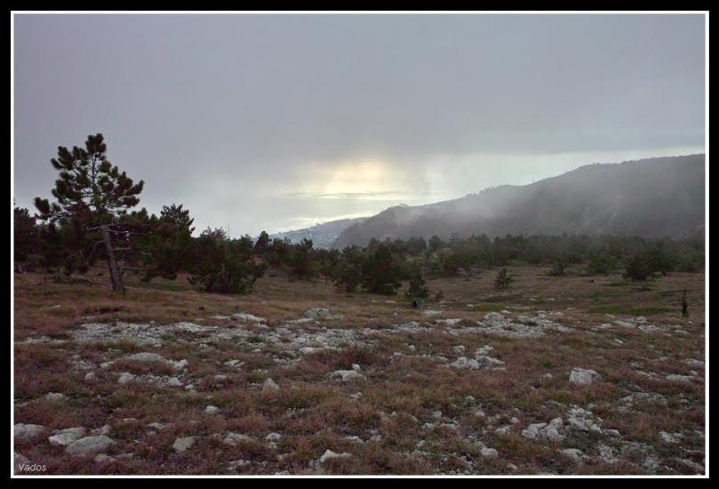 Відрадне з panoramio.com - Отрадное