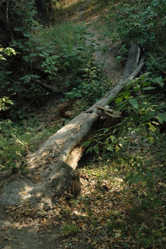 Артема з panoramio.com - Артема