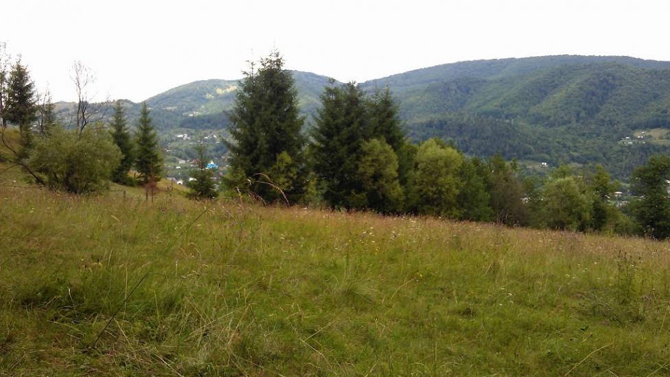 Прокурава з panoramio.com - Прокурава