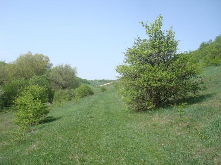 Любомирівка з panoramio.com - Любомировка