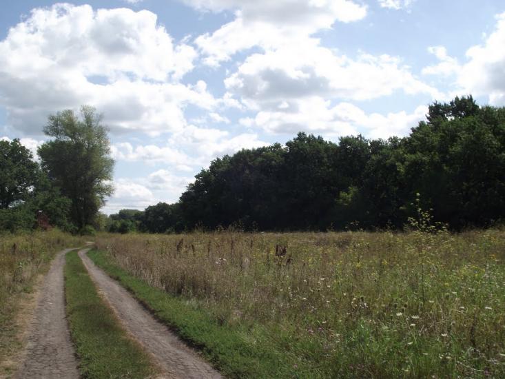 Брусівка з panoramio.com - Брусовка