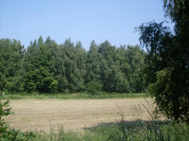 Кузьминці з panoramio.com - Кузьминцы