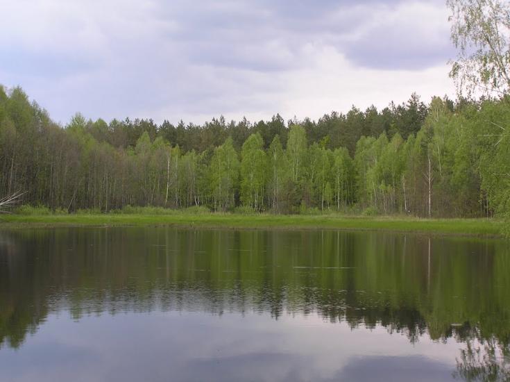 Лугини з panoramio.com - Лугины