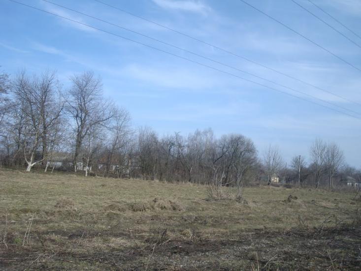 Радівці з panoramio.com - Radivtsi