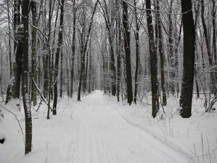 Бездрик з panoramio.com - Бездрик