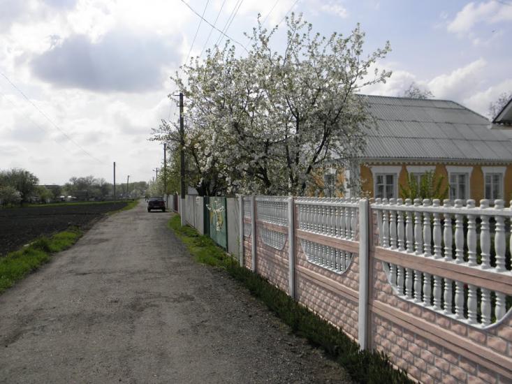 Гребінки з panoramio.com - Гребенки