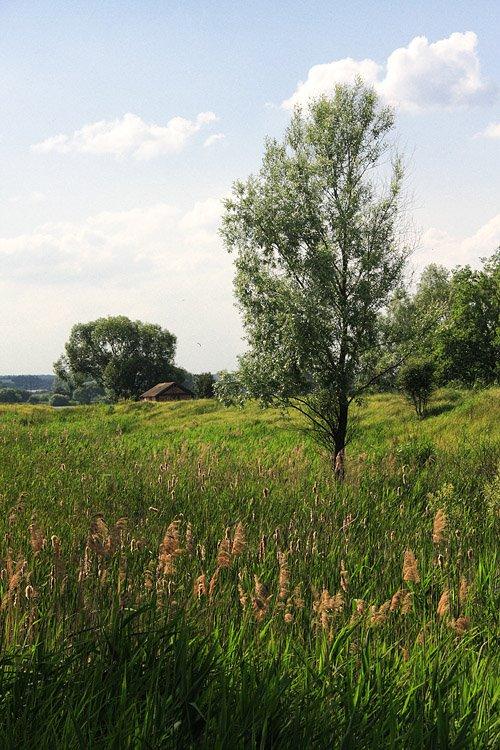 Малютянка з panoramio.com - Малютянка