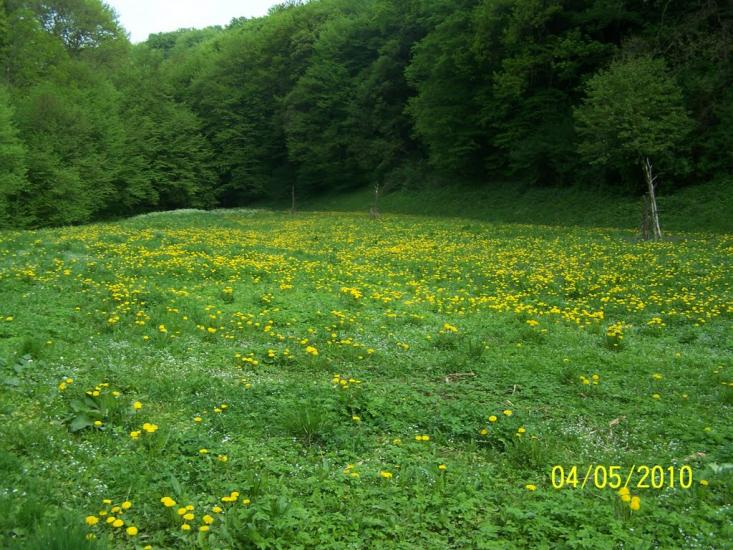 Старе Село з panoramio.com - Старое Село