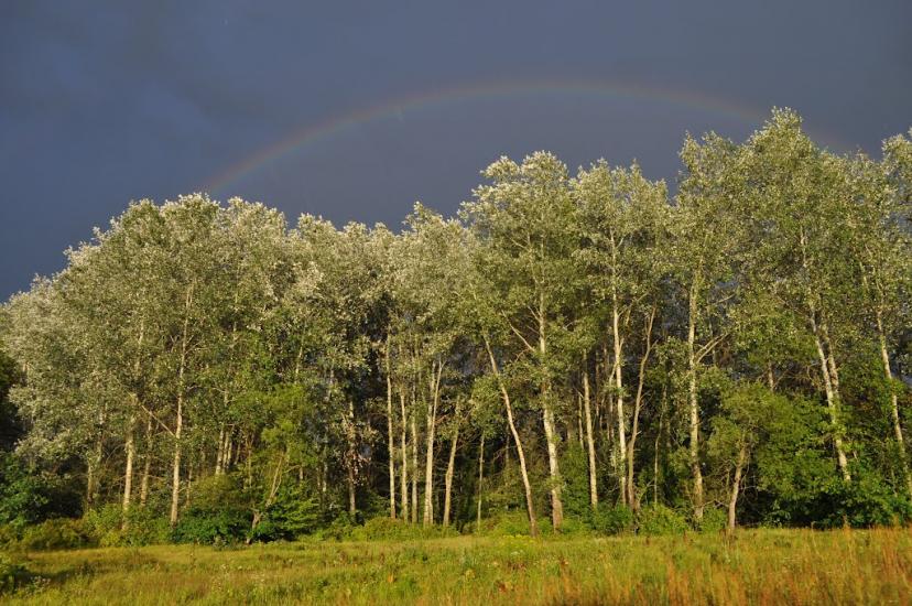 Журавне з panoramio.com - Журавне