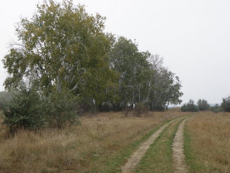 Малозименове з panoramio.com - Малозименове