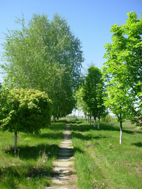 Таранівка з panoramio.com - Тарановка