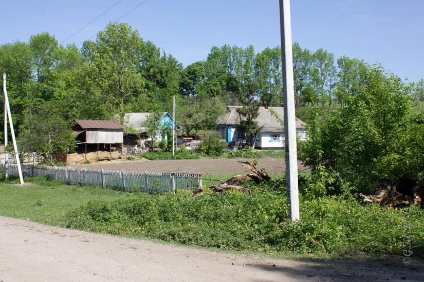 Чернявка з panoramio.com - Чернявка