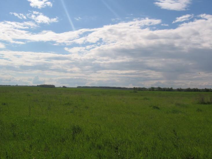 Терехівка з panoramio.com - Тереховка