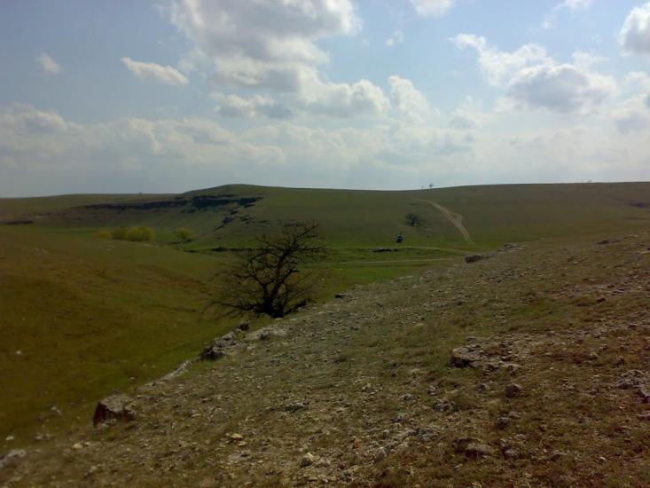 Скворцове з panoramio.com - Скворцове