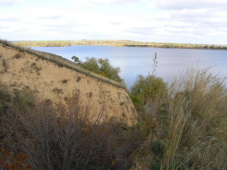 Звонецьке з panoramio.com - Звонецьке