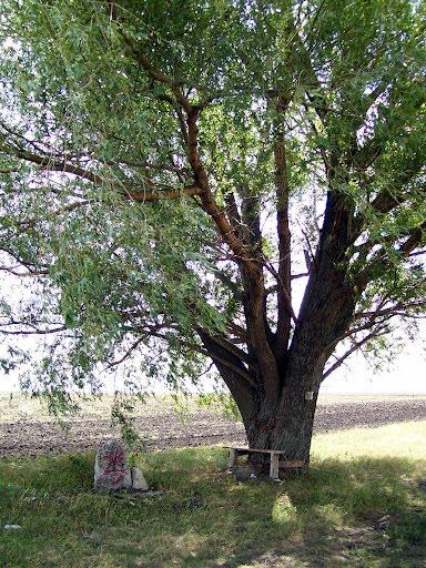 Ордівка з panoramio.com - Ордівка