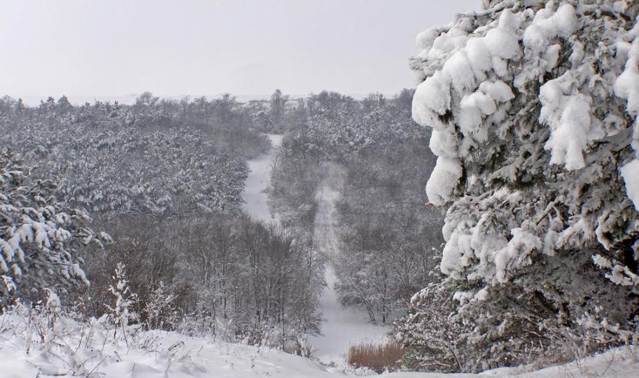 Дачне з panoramio.com - Дачное