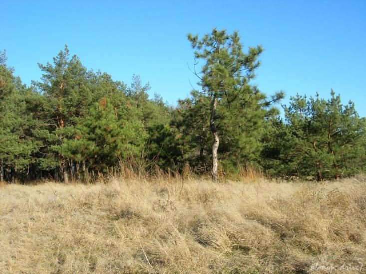 Широке з panoramio.com - Широкое