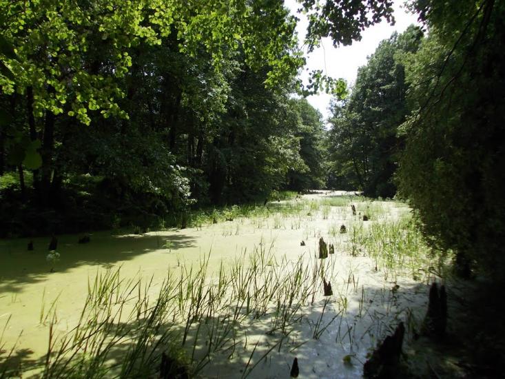 Лабурівка з panoramio.com - Лабуревка