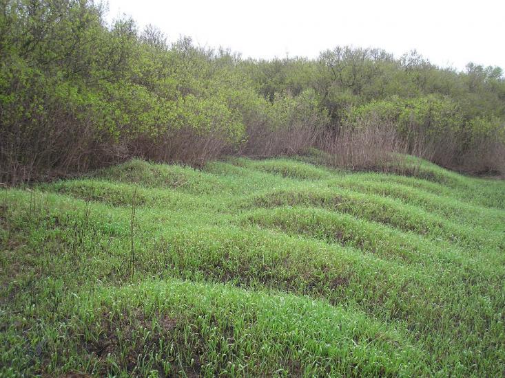 Нова Прага з panoramio.com - Нова Прага