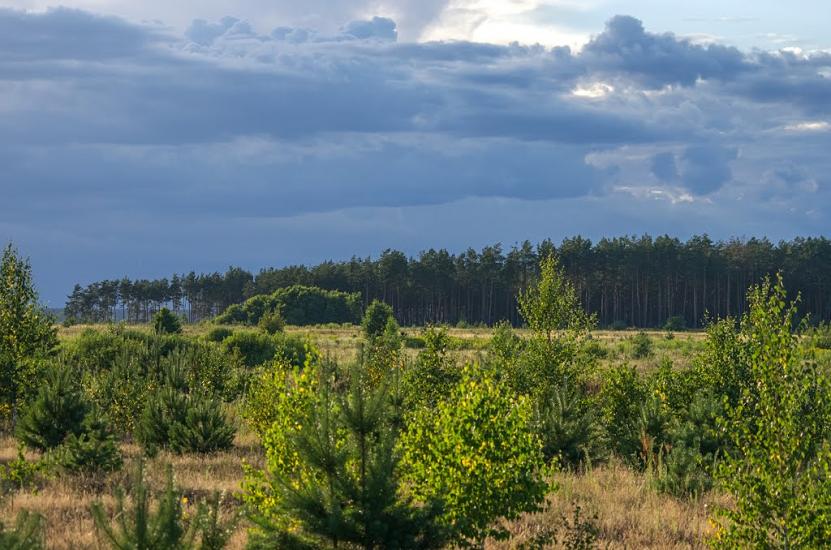 Дубровиця з panoramio.com - Дубровица