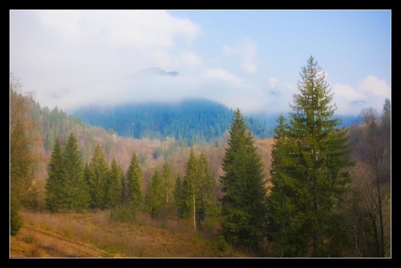 Красник з panoramio.com - Krasnyk