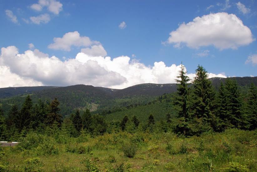 Стригальня з panoramio.com - Strygalnya