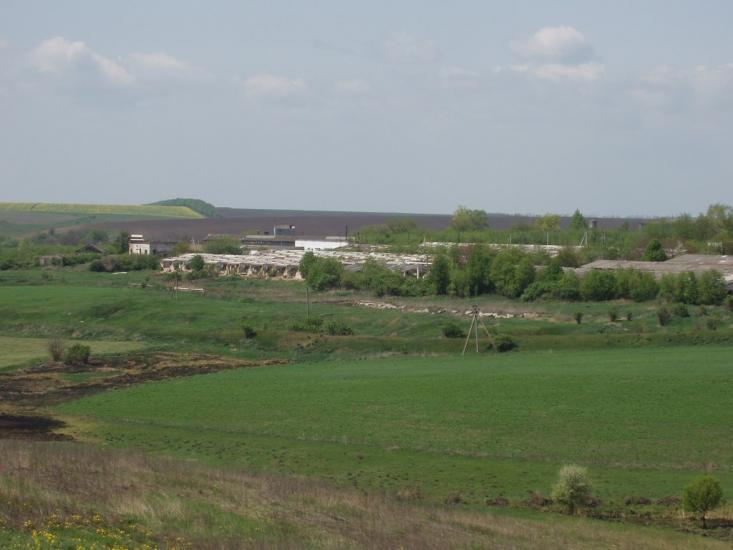 Єлизаветка з panoramio.com - Єлизаветка