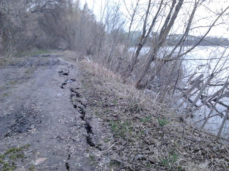 Рогачі з panoramio.com - Рогачи