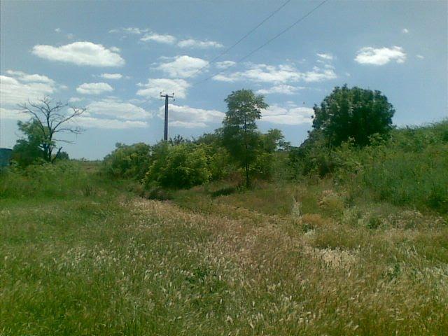 Любопіль з panoramio.com - Любополь