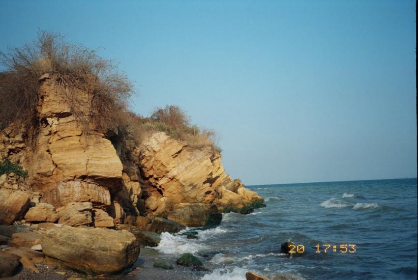 Нова Дофінівка з panoramio.com - Новая Дофиновка