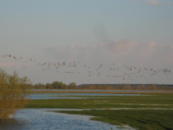 Мутин з panoramio.com - Mutyn