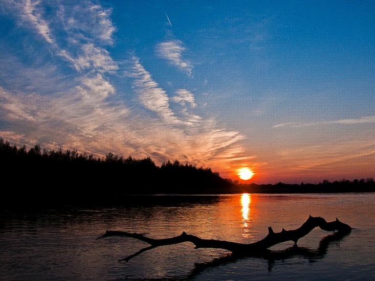 Журавно з panoramio.com - Журавно
